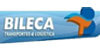 BILECA TRANSPORTE & LOGISTICA EIRELI