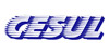 CESUL TRANSPORTES INTERNACIONAIS LTDA